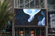 105-Berlin,6 aprile 2012